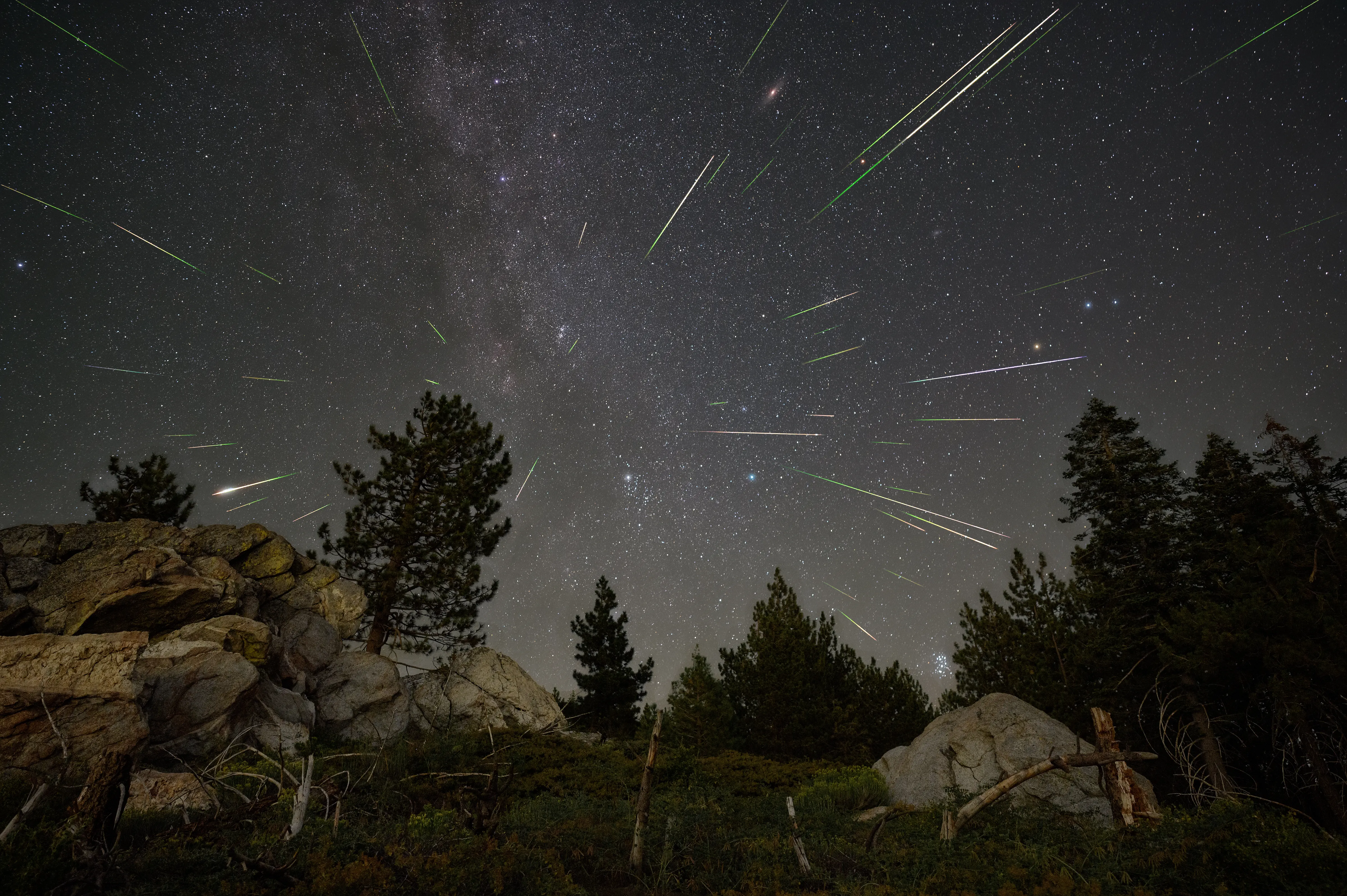 Vista de la lluvia de meteoros de las perseidas en 2023 desde el extremo sur del Bosque Nacional Sequoia, en la Sierra Nevada de California. ( NASA/Preston Dyches )